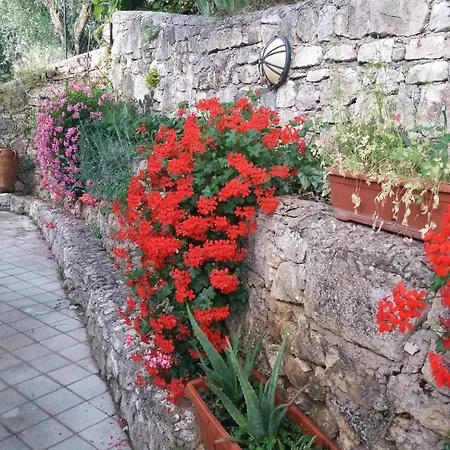 La Casa Di Antonella Villa Vico Del Gargano Exterior photo